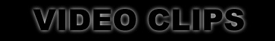 Download Video Clips